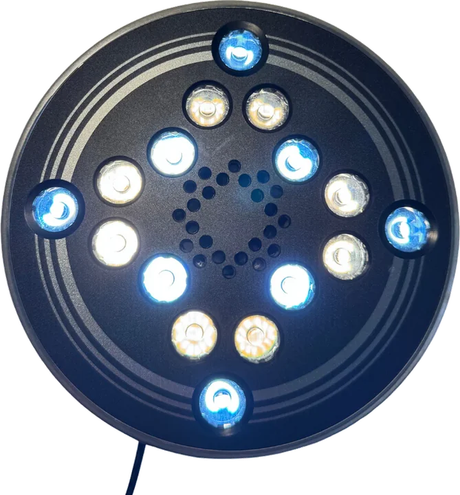 RoXiva RX1 lichtlamp