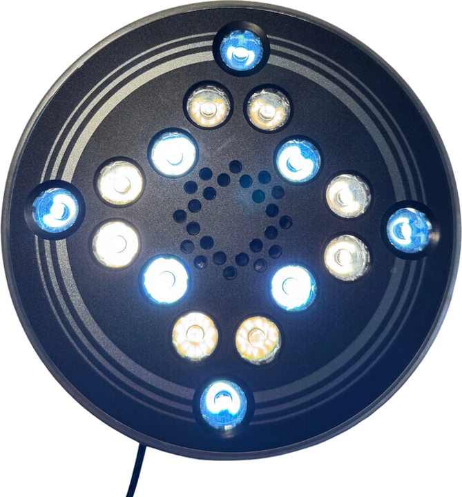 RoXiva RX1 lichtlamp